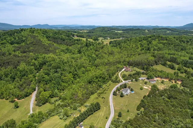 a view of a city with lush green forest