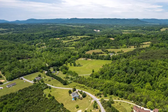 an aerial view of residential houses with outdoor space and trees