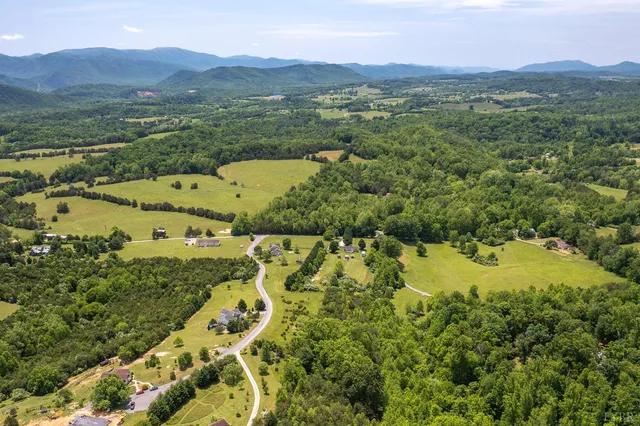 a view of a lush green hillside and houses