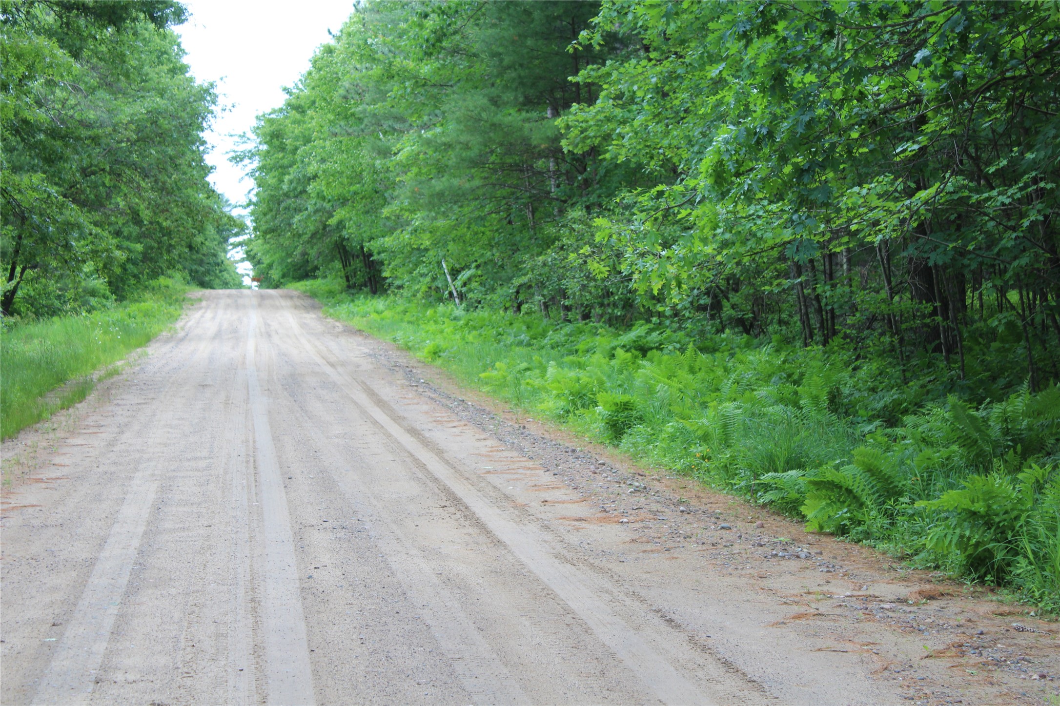 0 Rouse Road Neillsville, WI 54456 - Photo 22 of 27