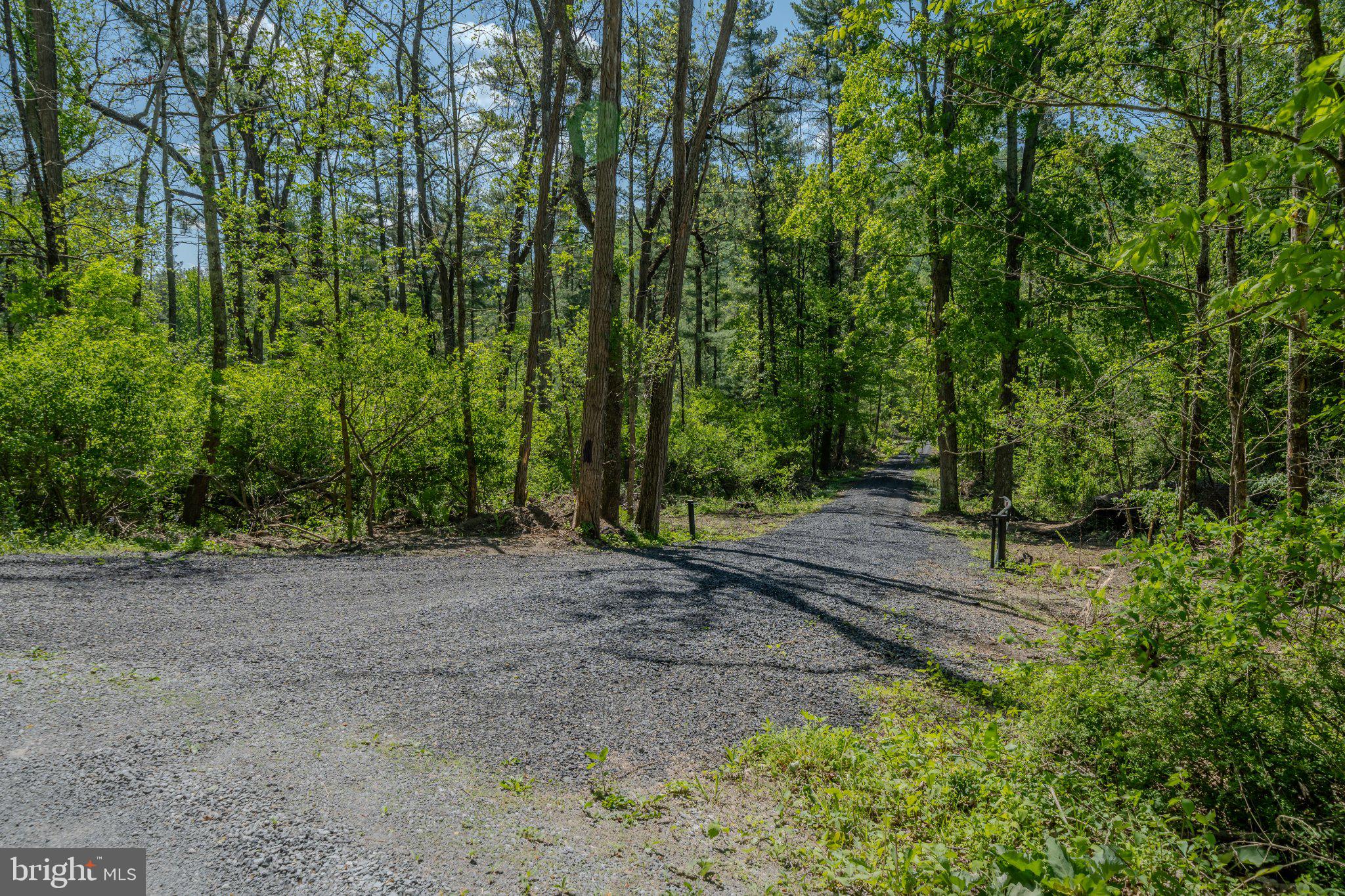 1520 Lingle Valley Road Milroy, PA 17063 - Photo 68 of 144 Nature's crossroads in vibrant greens.