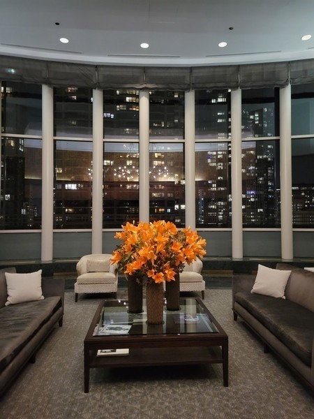 100 East Huron Street, Unit 2004 Chicago, IL 60611 - Photo 3 of 40 a outdoor living space with furniture and window