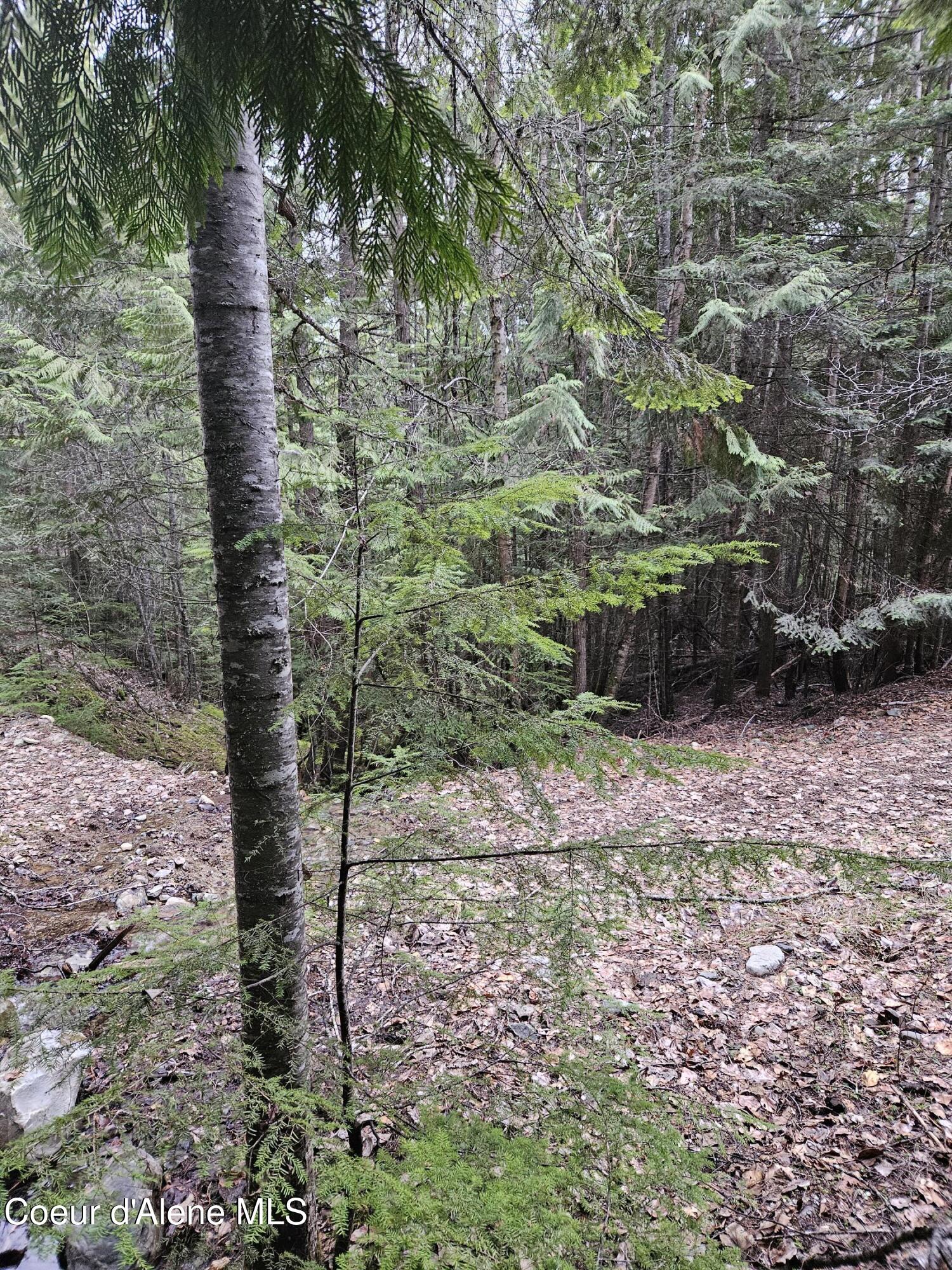 940 Sled Run Trail Clark Fork, ID 83811 - Photo 3 of 39 20250402_175350