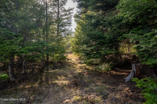 $275,000 | 940 Sled Run Trail, Clark Fork, ID 83811