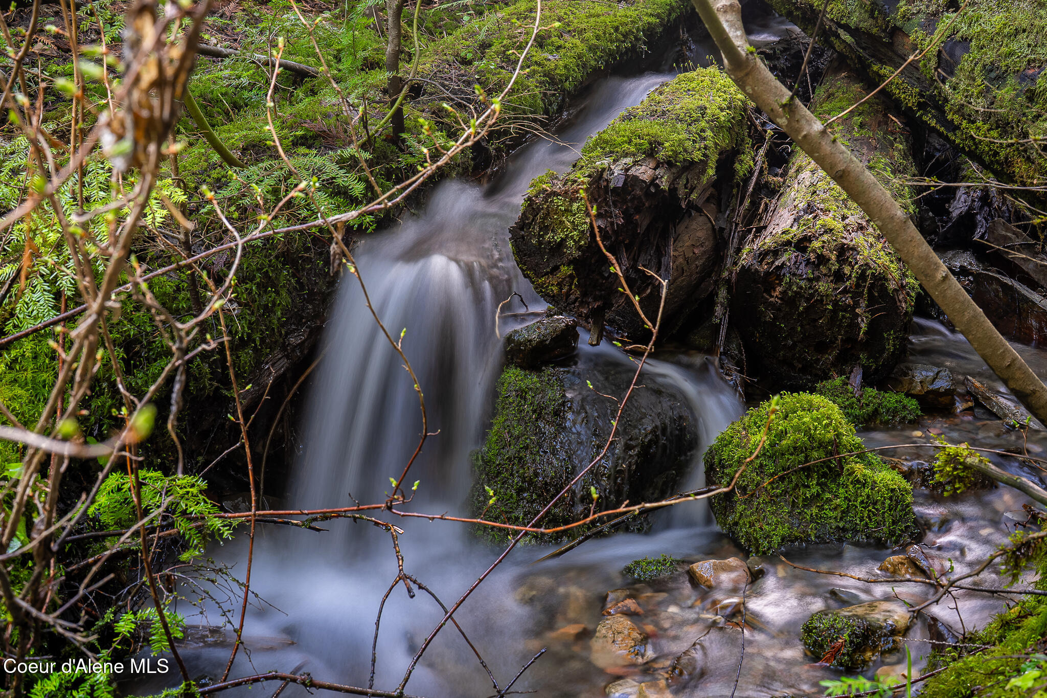 940 Sled Run Trail Clark Fork, ID 83811 - Photo 37 of 39 cabin-28