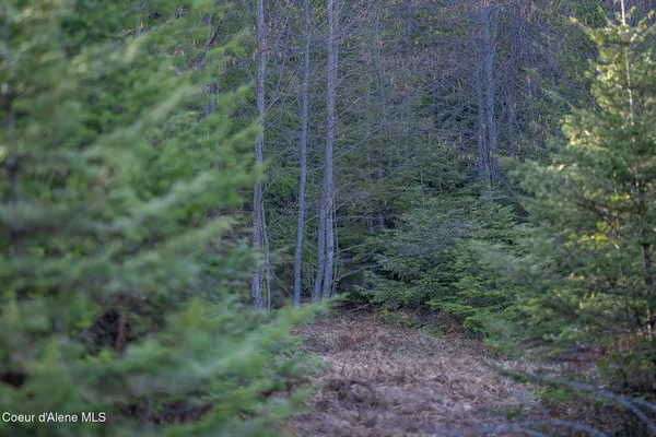 $275,000 | 940 Sled Run Trail, Clark Fork, ID 83811