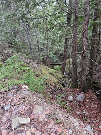 $275,000 | 940 Sled Run Trail, Clark Fork, ID 83811