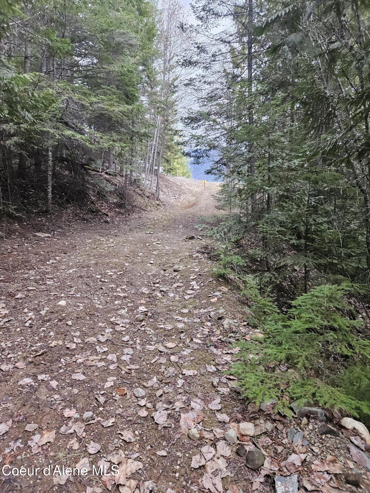 940 Sled Run Trail Clark Fork, ID 83811 - Photo 7 of 39 20250402_175510