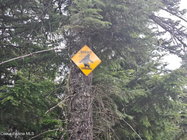 $275,000 | 940 Sled Run Trail, Clark Fork, ID 83811