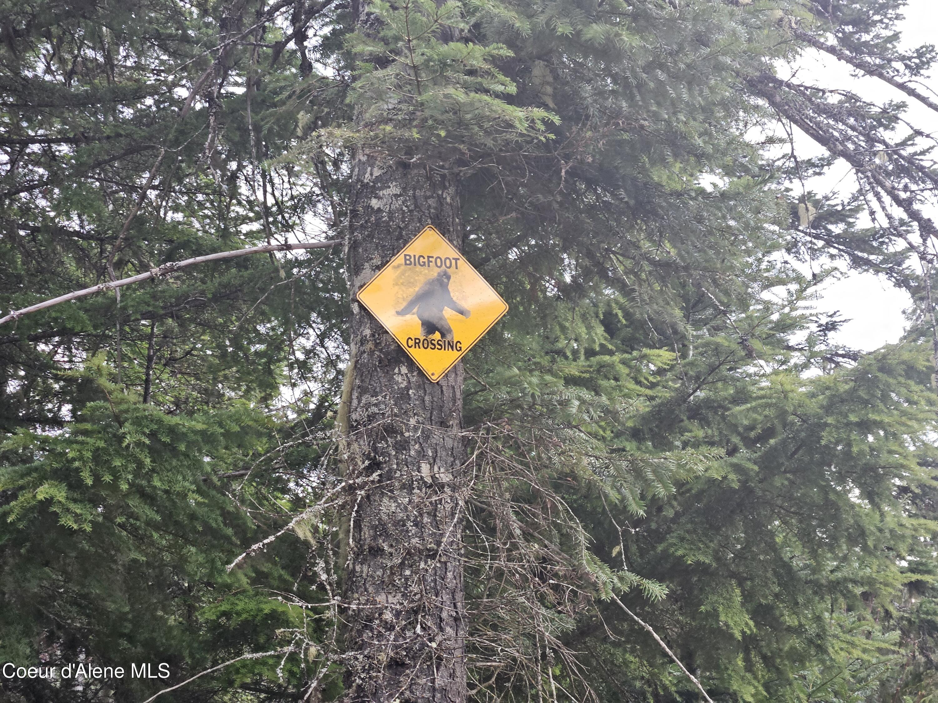 940 Sled Run Trail Clark Fork, ID 83811 - Photo 9 of 39 20250402_175622