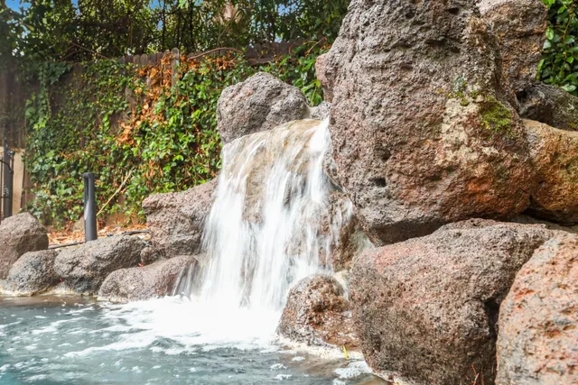 a view of a forest with trees in the background