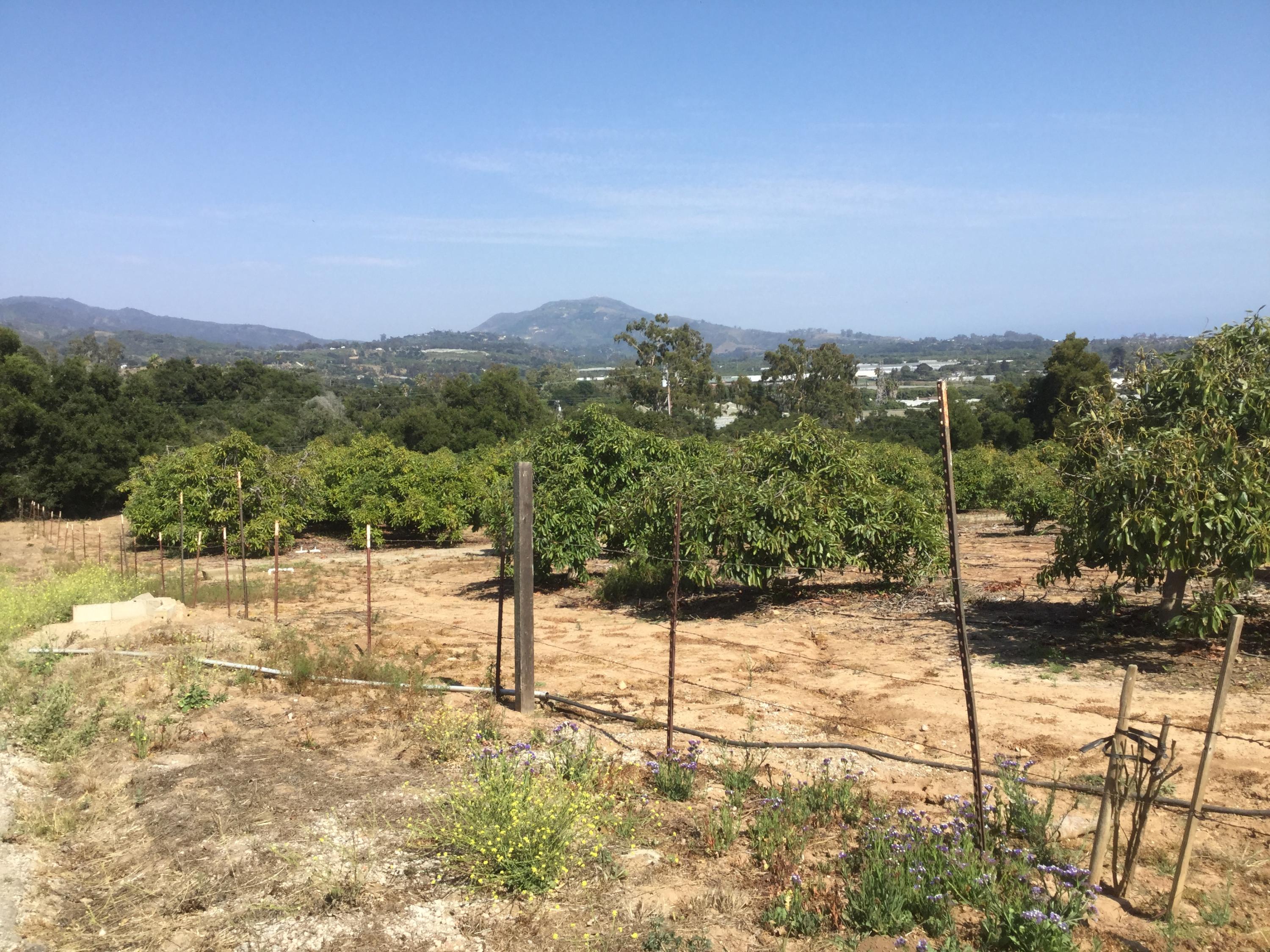 4630 Foothill Road Carpinteria, CA 93013 - Photo 3 of 19 Mountain view