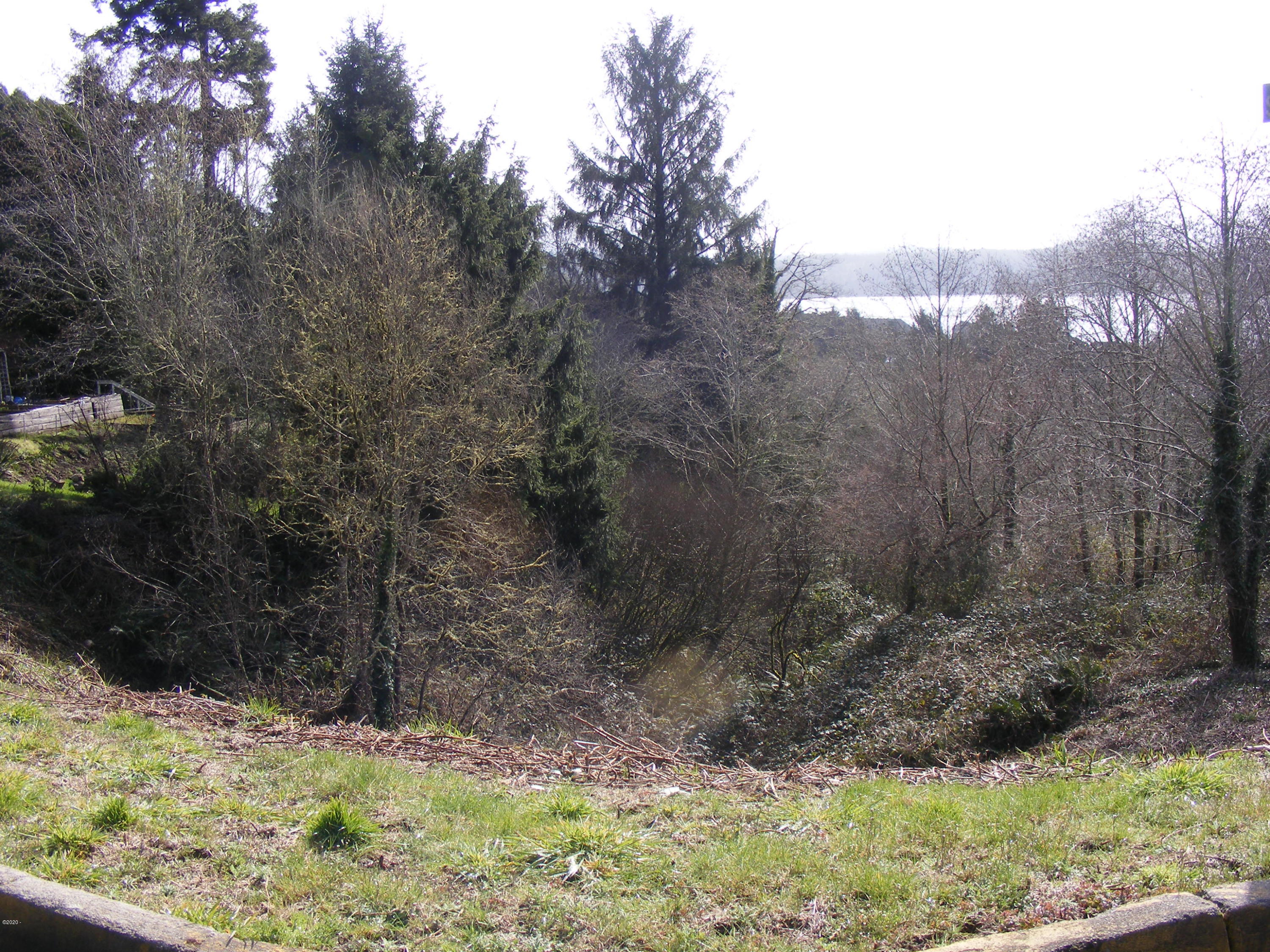 100 Southeast Scenic Loop Newport, OR 97365 - Photo 1 of 2 Barker YaQuina Knoll 001