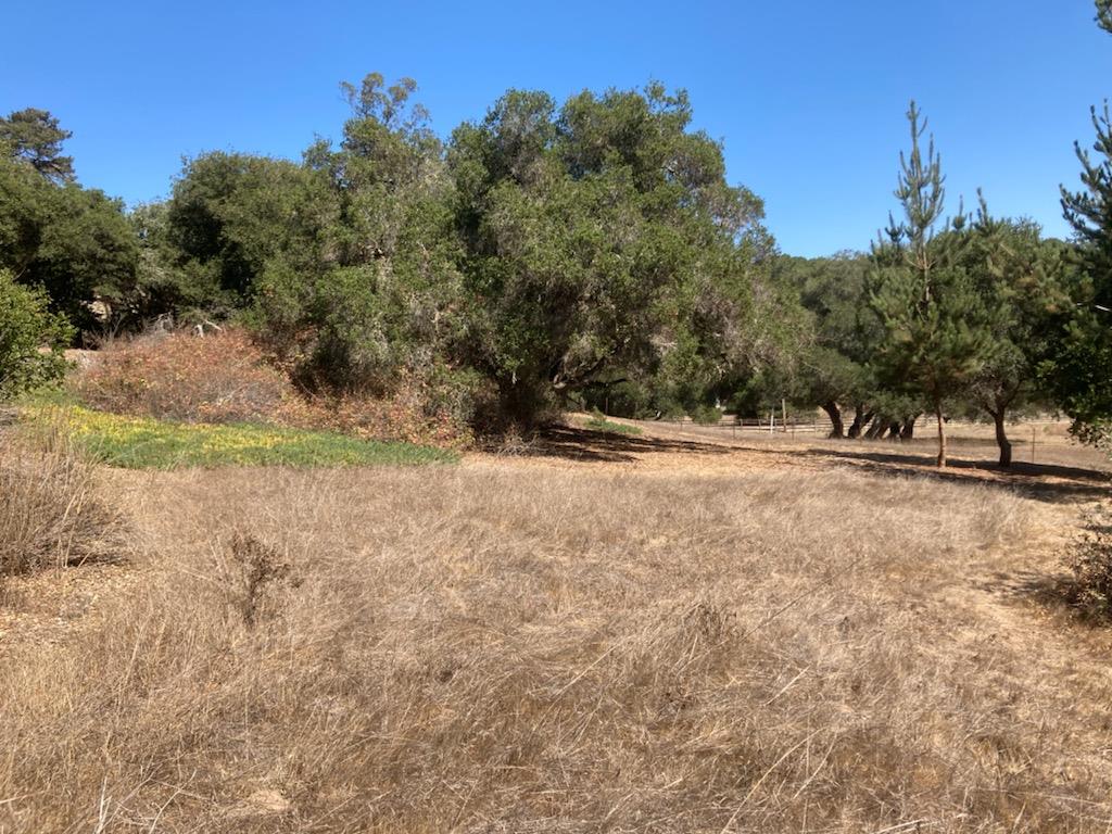 7346 Walker Valley Road Castroville, CA 95012 - Photo 3 of 7 Gallery Image 3