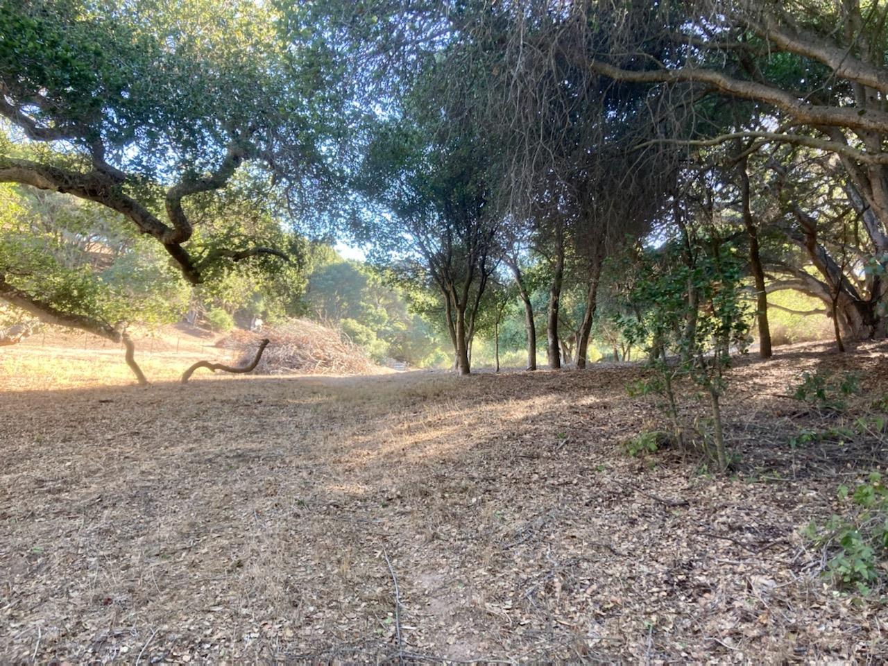 7346 Walker Valley Road Castroville, CA 95012 - Photo 5 of 7 Gallery Image 5