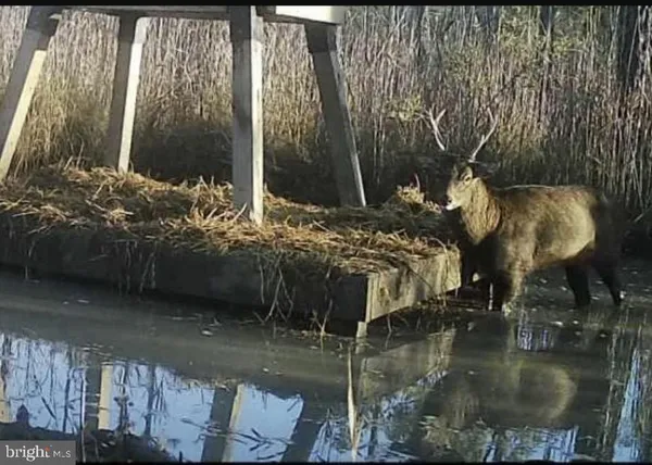 $149,000 | 2651 Lakesville-Crapo Road, Church Creek, MD 21622