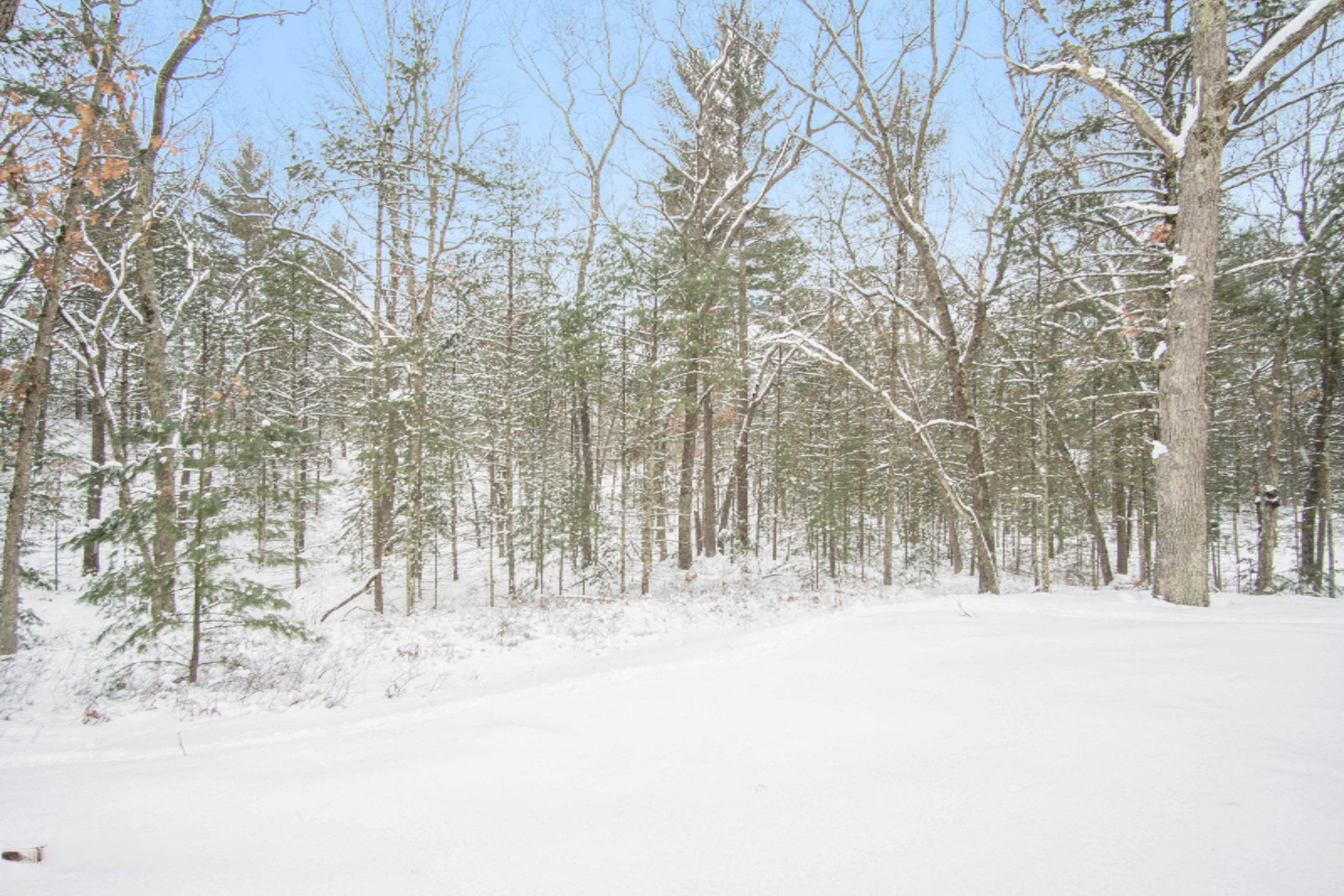 5539 West Rutledge Avenue Pentwater, MI 49449 - Photo 35 of 36 DSC08835