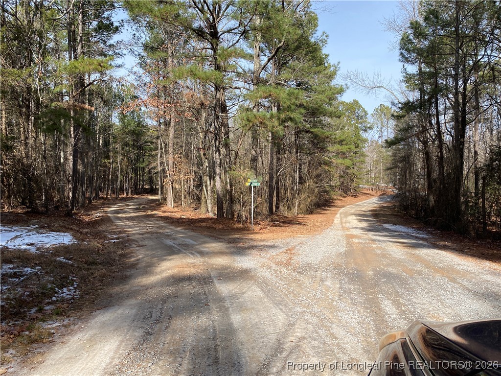 Western Trail Carthage, NC 28327 - Photo 11 of 14