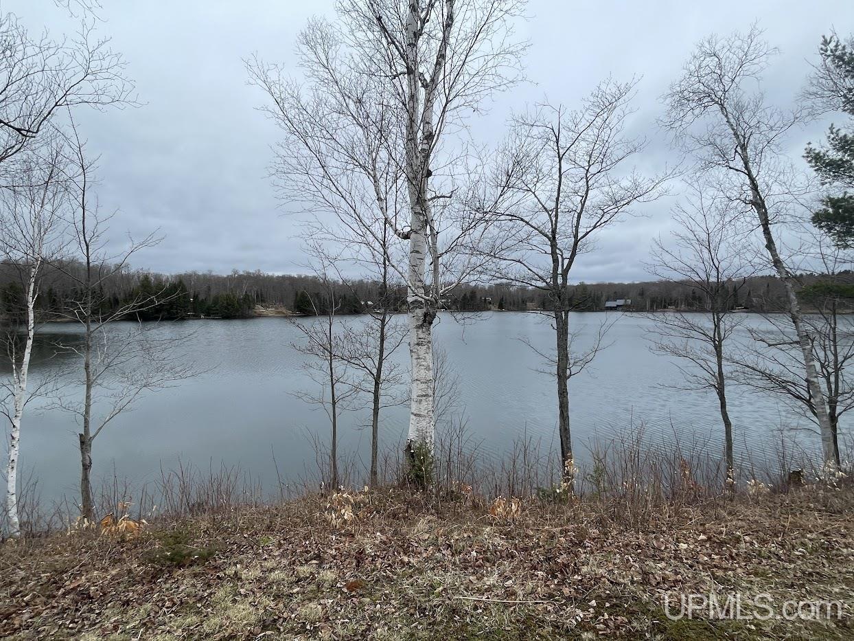 32399 West Piatt Lake Road Eckerman, MI 49728 - Photo 47 of 49