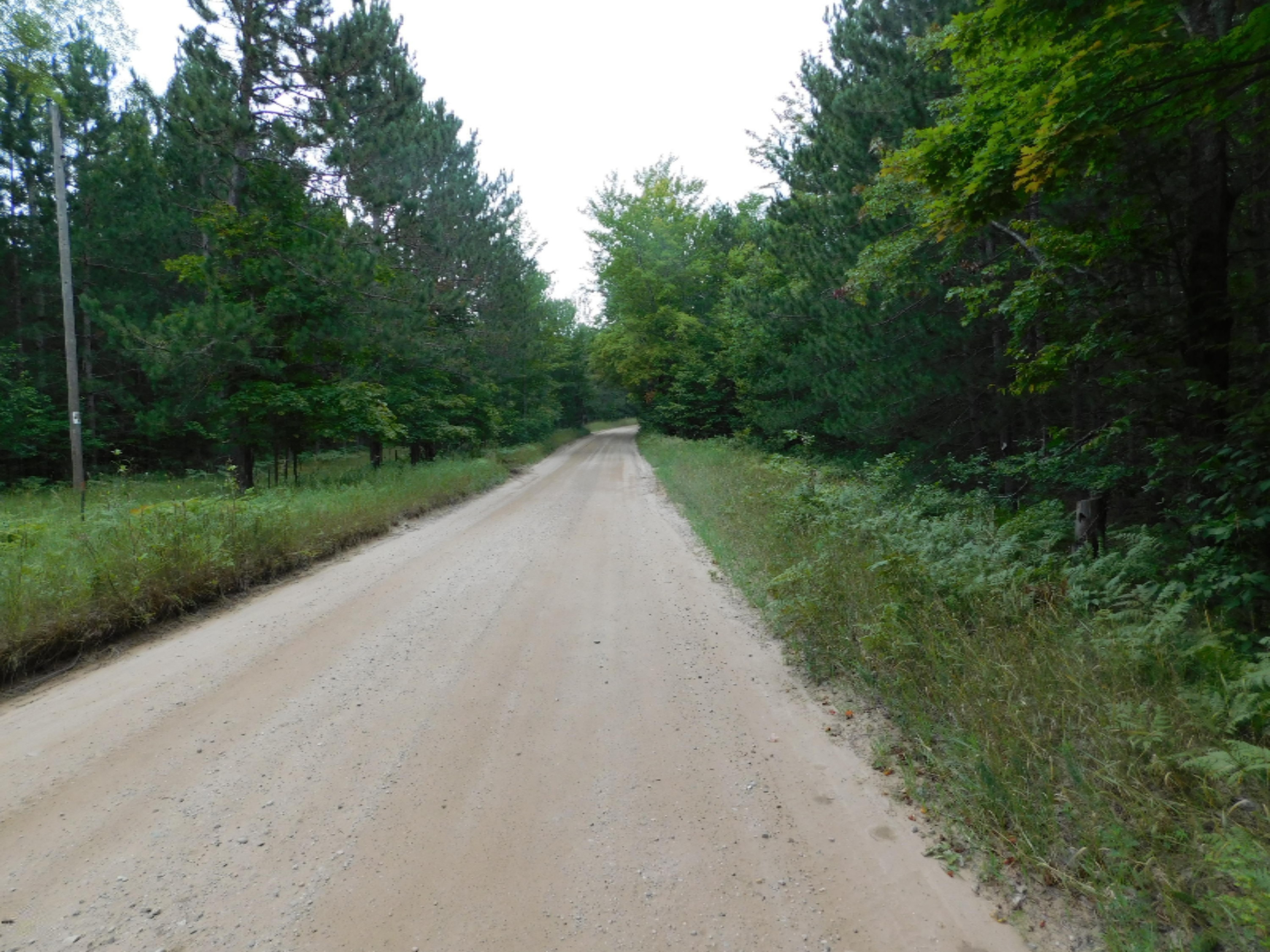 4810 Old Vanderbilt Road Vanderbilt, MI 49795 - Photo 16 of 33 DSCN3293