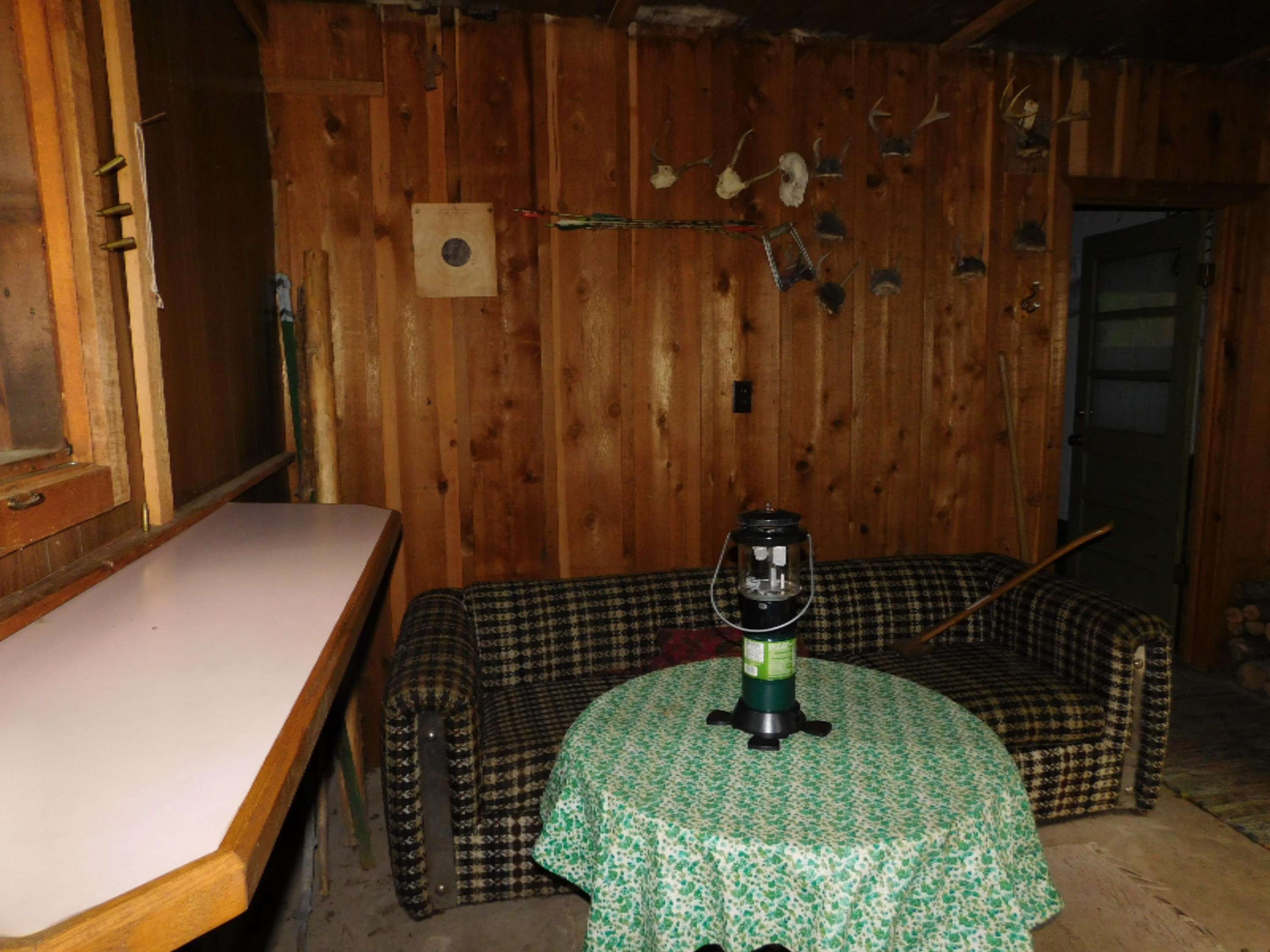 4810 Old Vanderbilt Road Vanderbilt, MI 49795 - Photo 20 of 33 DSCN3297