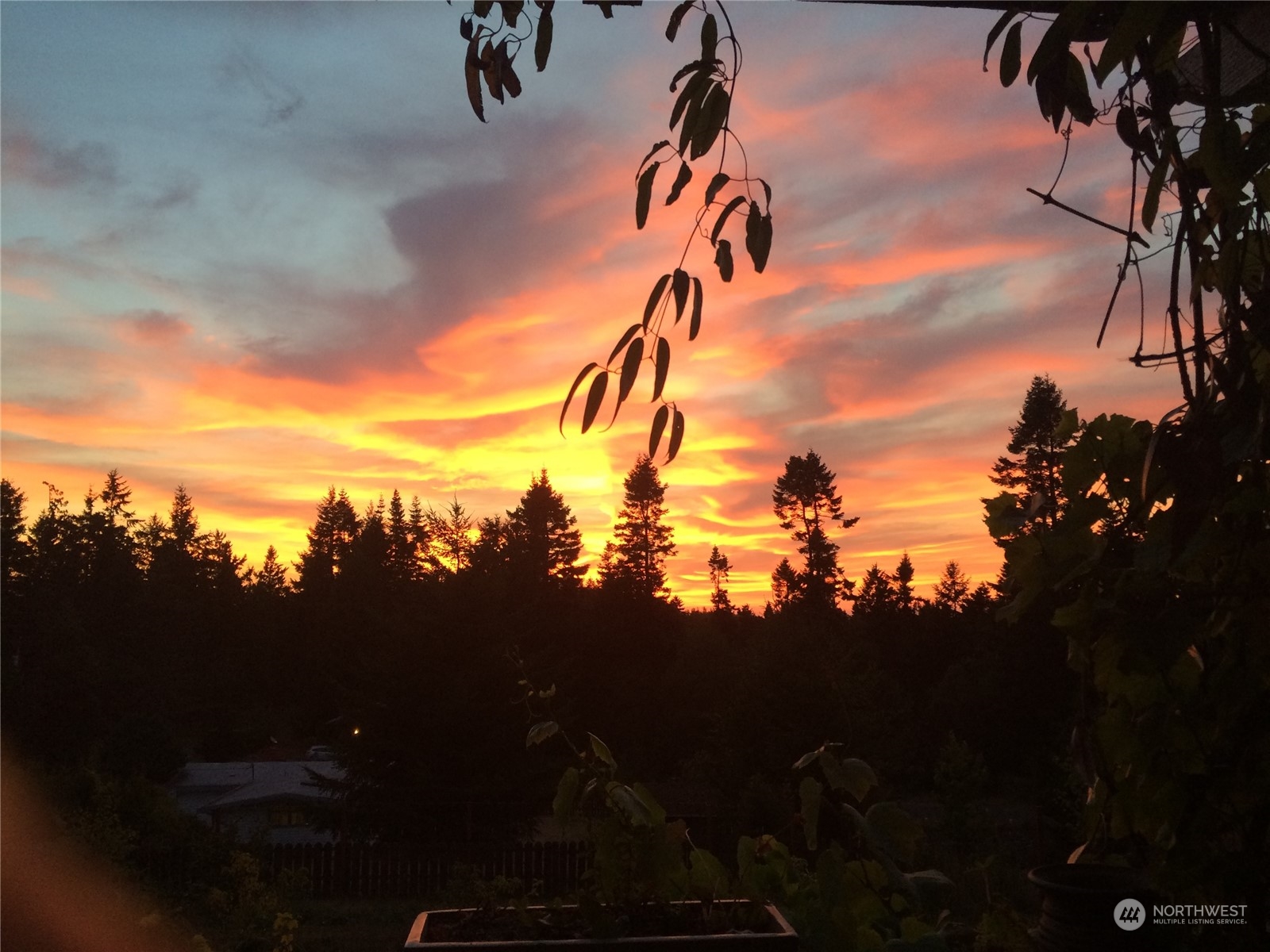 5291 Cape George Road Port Townsend, WA 98368 - Photo 24 of 25 a view of a yard in front of the house