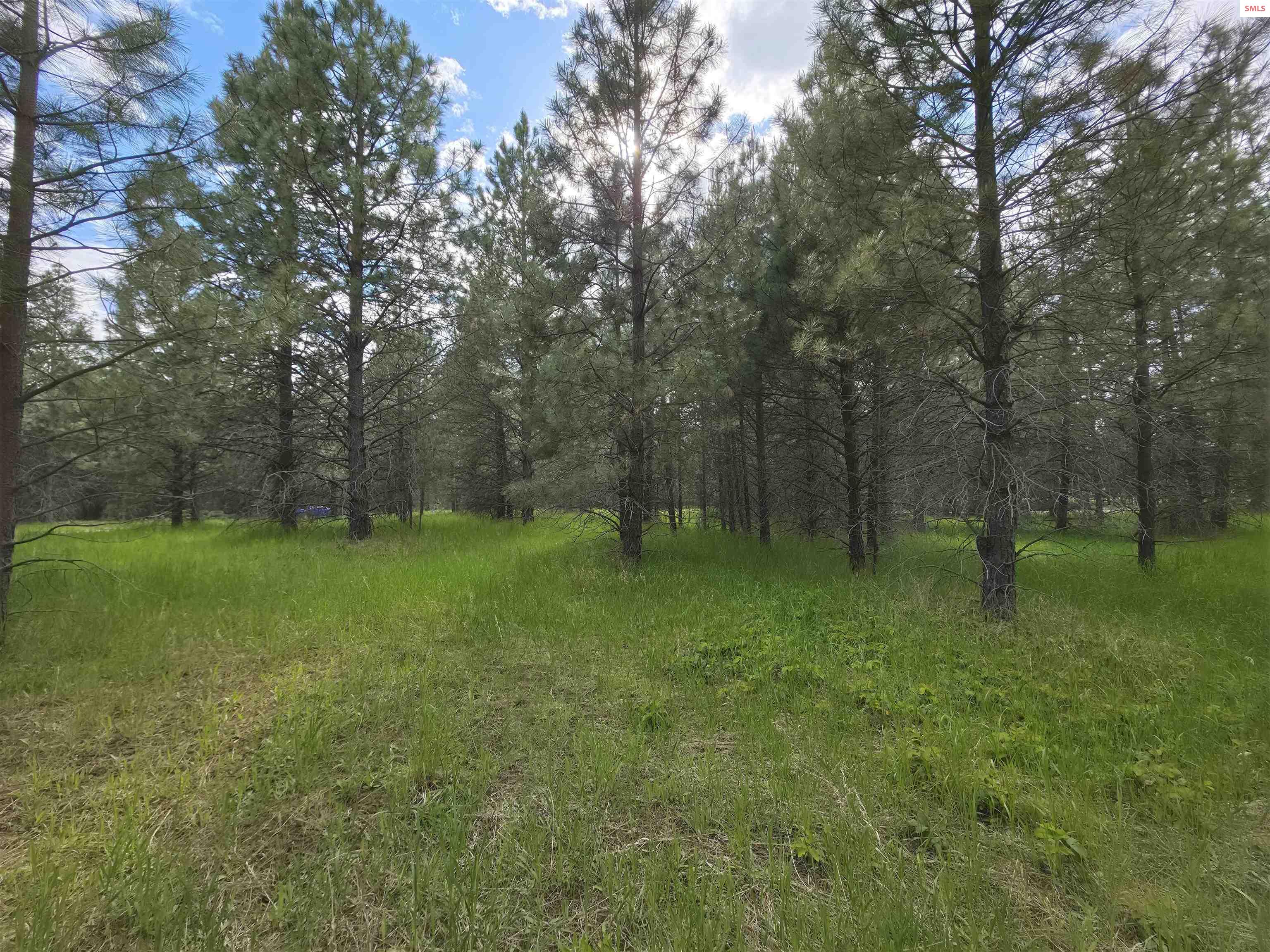 Lot 1 Champs Road Bonners Ferry, ID 83805 - Photo 8 of 11 Gallery Image 8