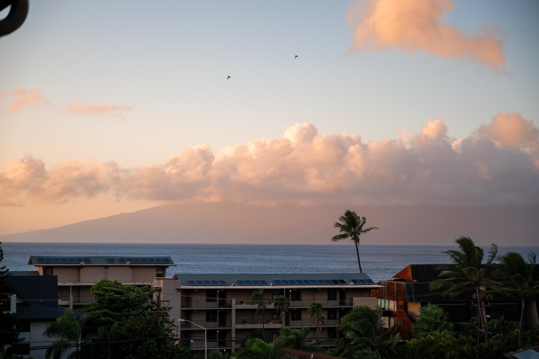3708 Lower Honoapiilani Road, Unit E41 Lahaina, HI 96761 - Photo 35 of 42 a view of a house with a backyard and a garden