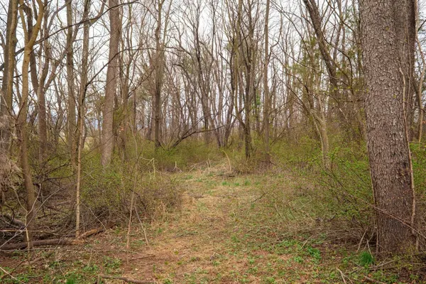 $189,900 | Tbd Kerns Road, Dayton, VA 22821