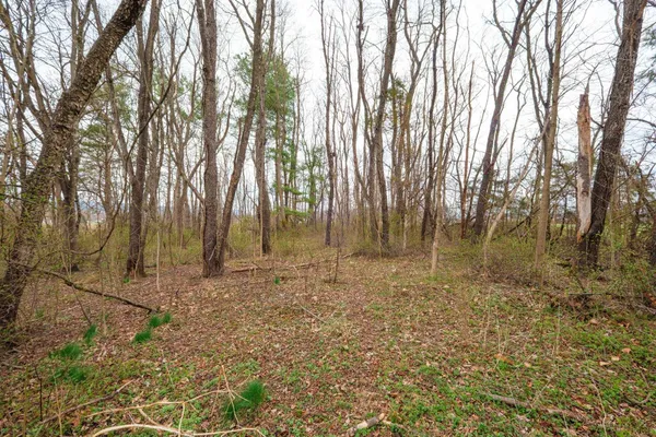 $189,900 | Tbd Kerns Road, Dayton, VA 22821