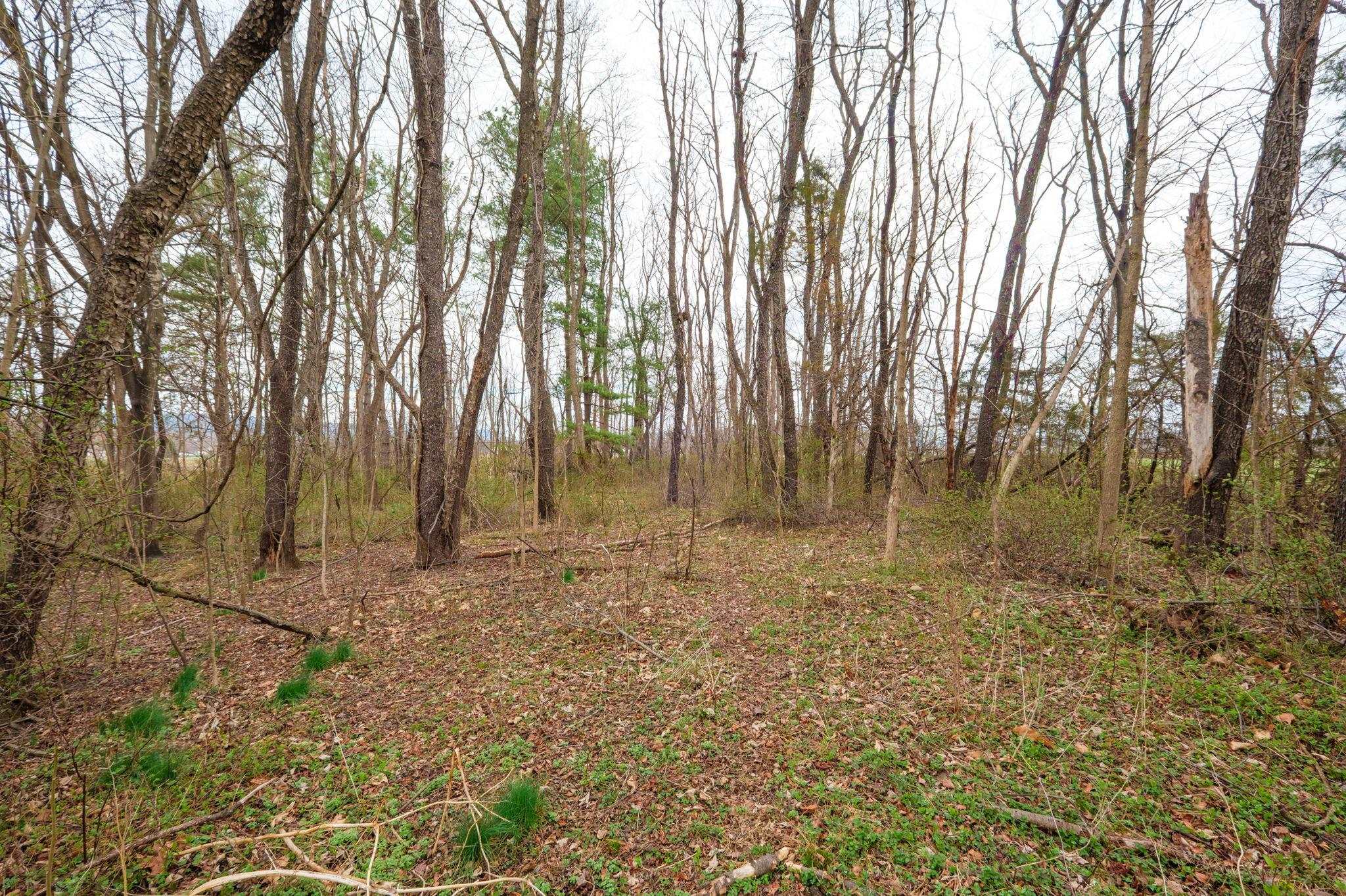 Tbd Kerns Road Dayton, VA 22821 - Photo 17 of 17