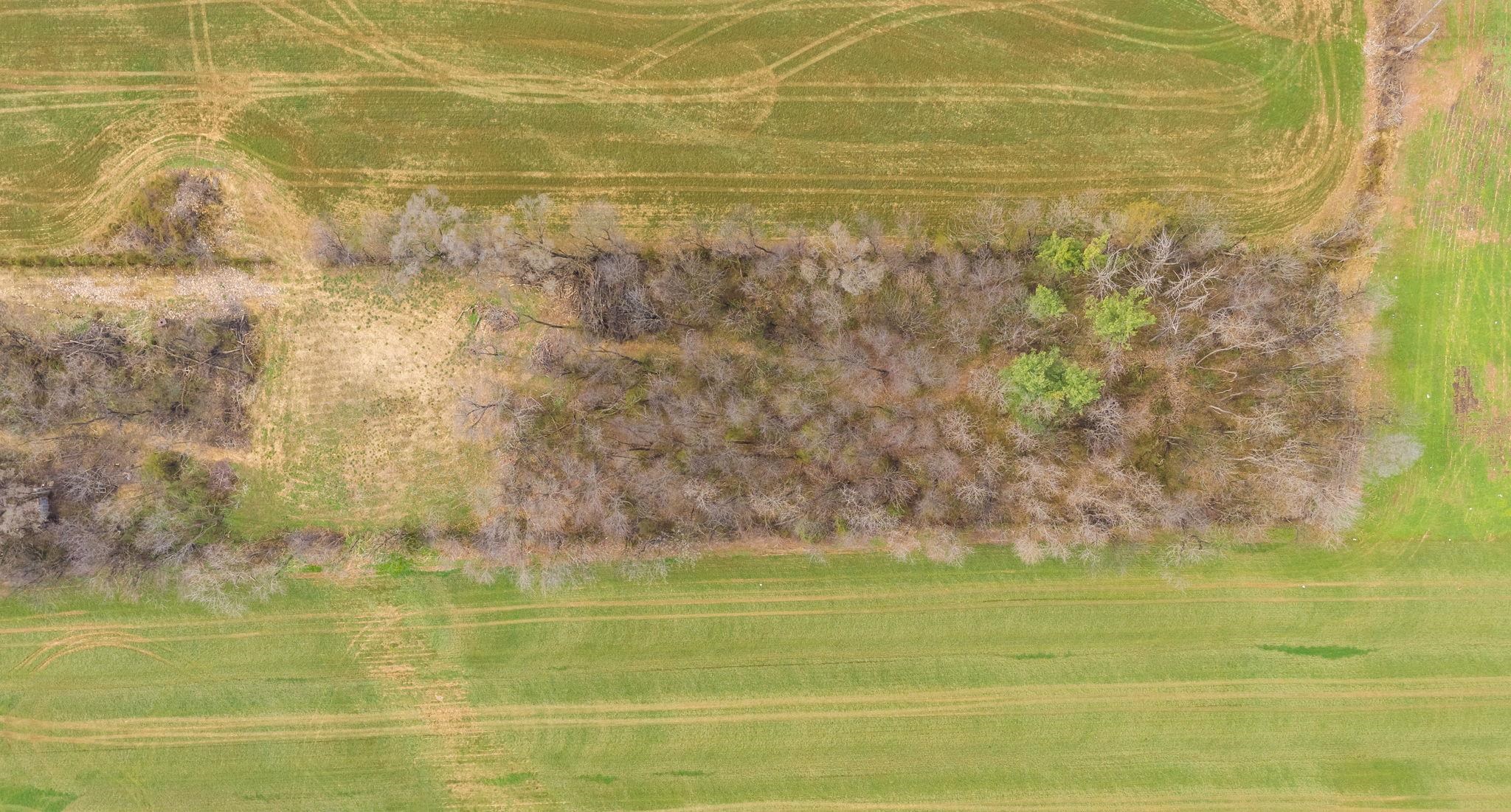 Tbd Kerns Road Dayton, VA 22821 - Photo 8 of 17