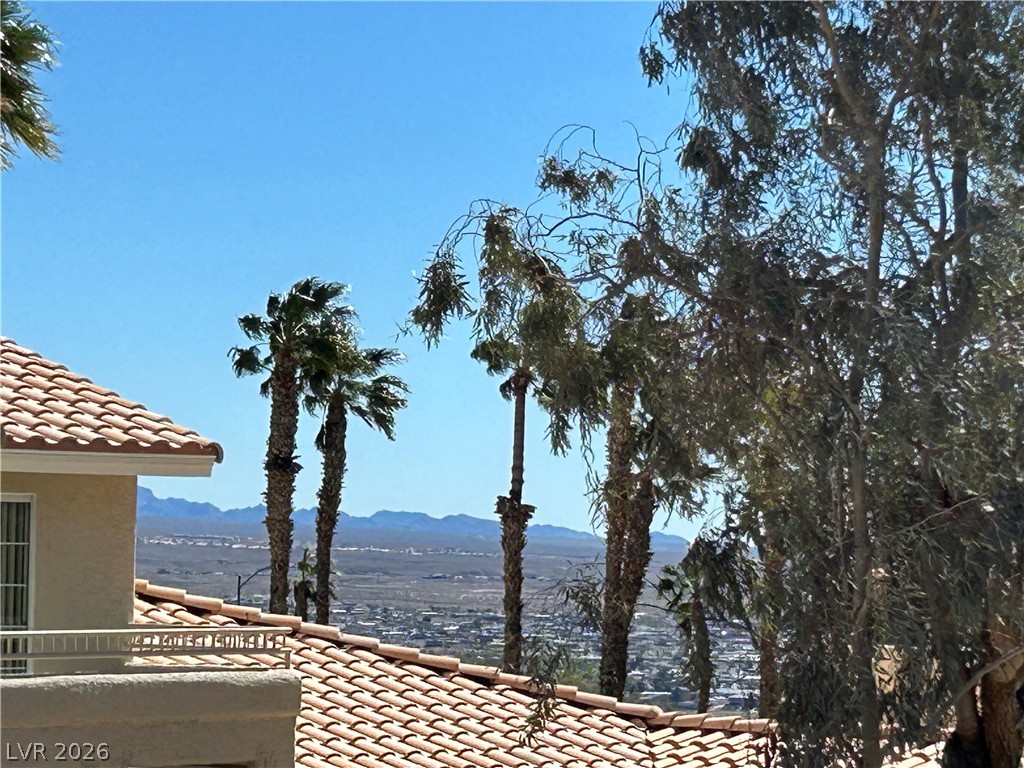 2207 Camel Mesa Drive Laughlin, NV 89029 - Photo 23 of 31