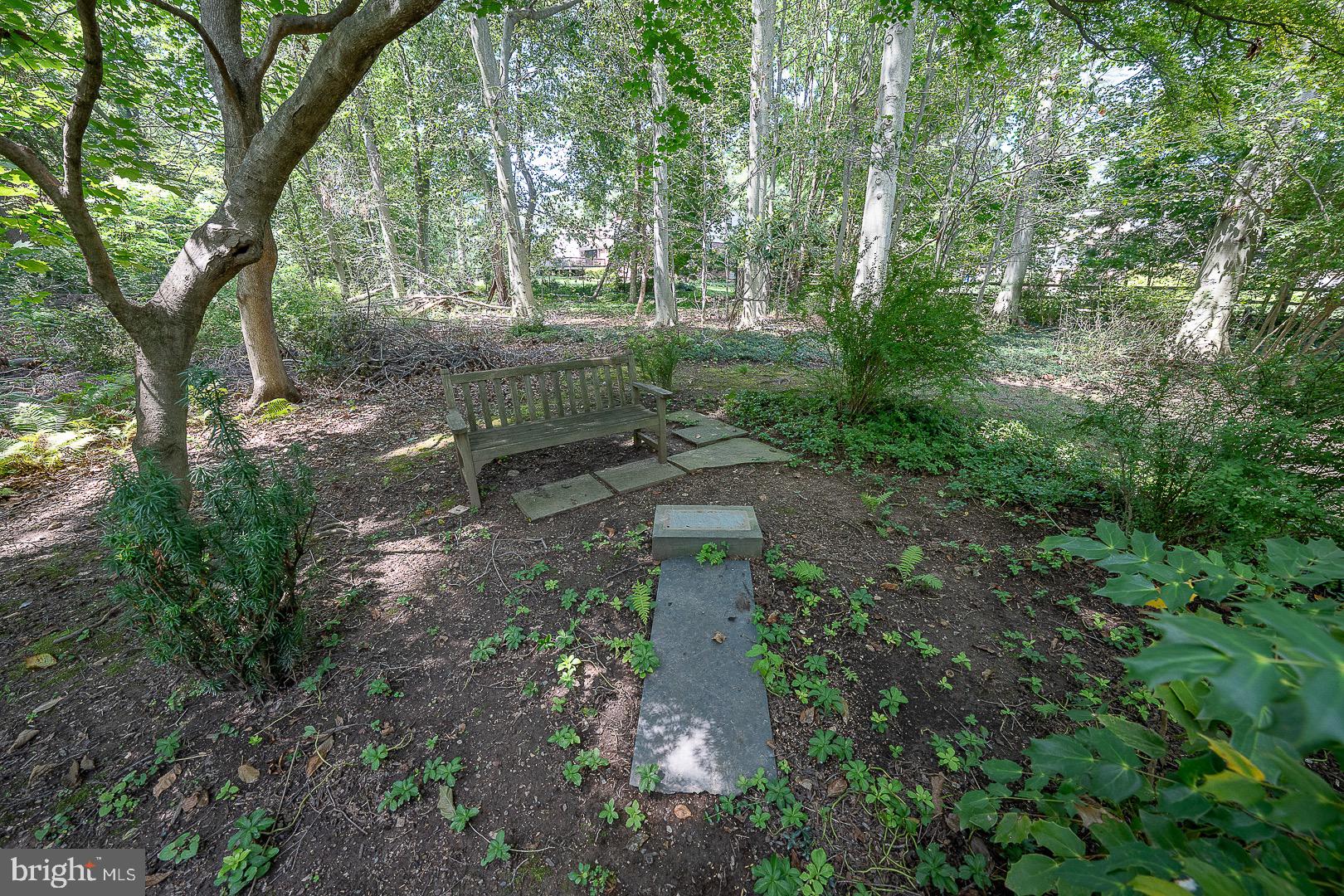 738 Woodcrest Road Wayne, PA 19087 - Photo 25 of 28 Peaceful setting