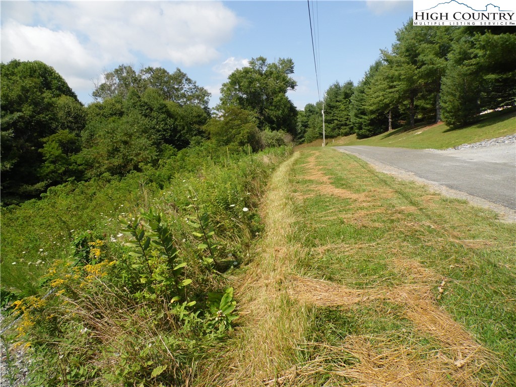 Riverside Drive Sparta, NC 28675 - Photo 7 of 9 a view of a field with plants and trees