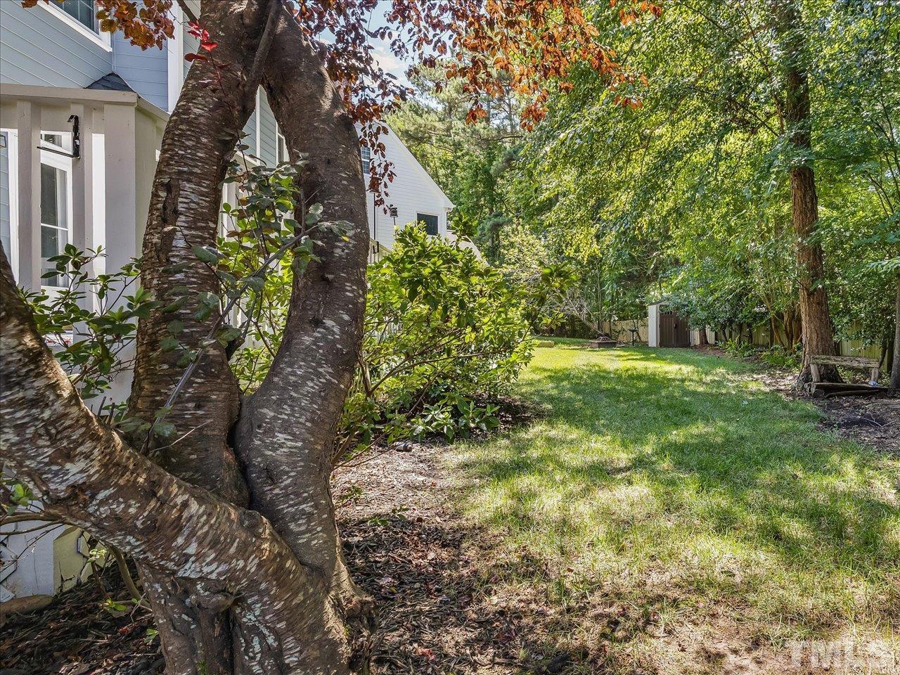 4 Caspian Court Durham, NC 27713 - Photo 62 of 84 a backyard of a house with lots of green space