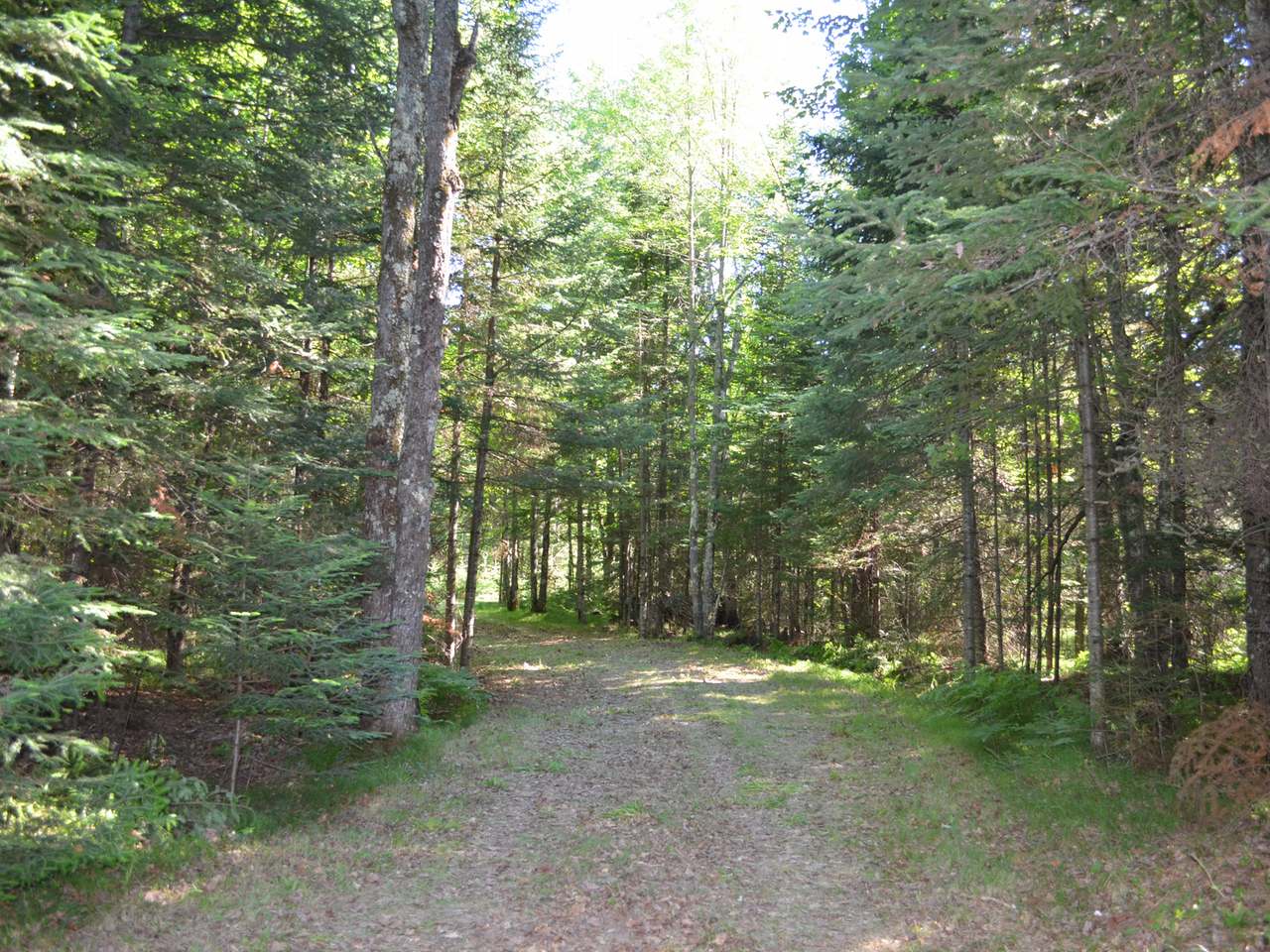 N10928 Mail Rte Road Tomahawk, WI 54487 - Photo 8 of 22 Gallery Image 8