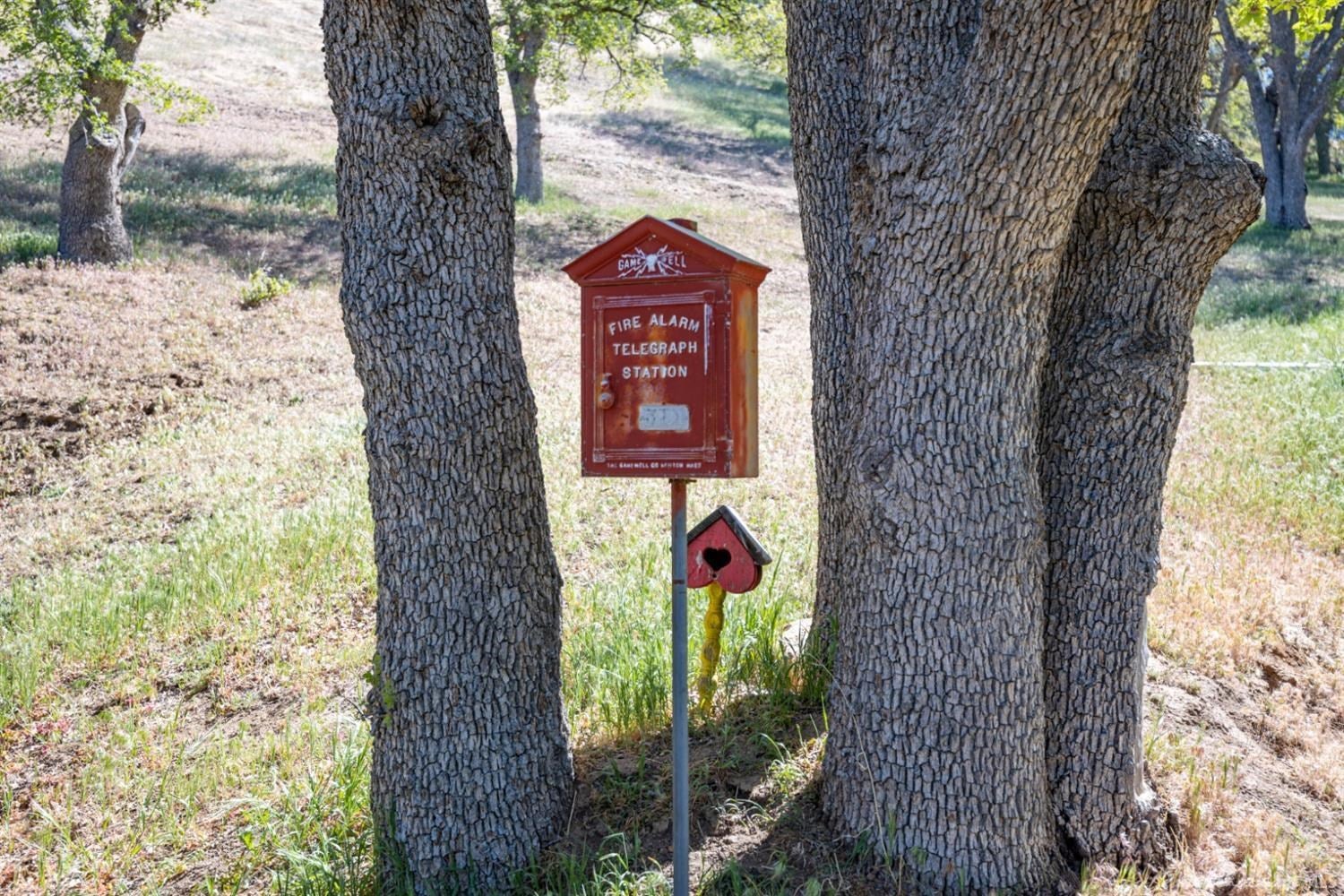 20217 Knob Hill Road Tehachapi, CA 93561 - Photo 8 of 81 Gallery Image 8