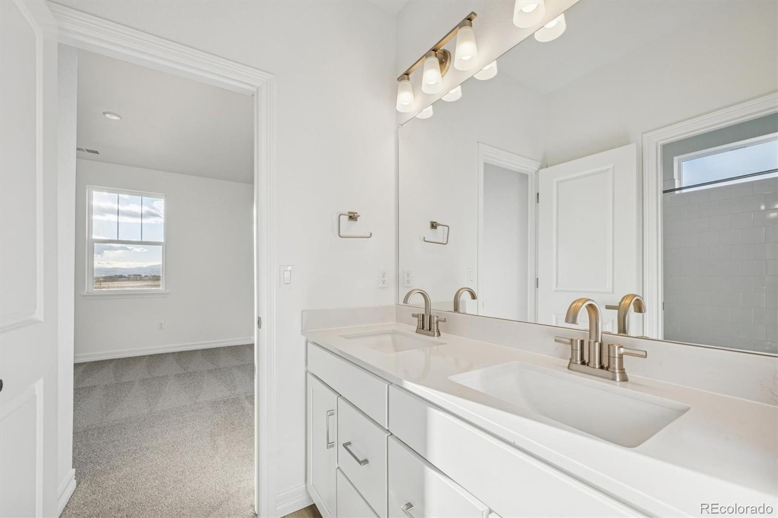 1162 Weller Street Timnath, CO 80547 - Photo 20 of 29 a bathroom with double vanity sink a mirror and vanity