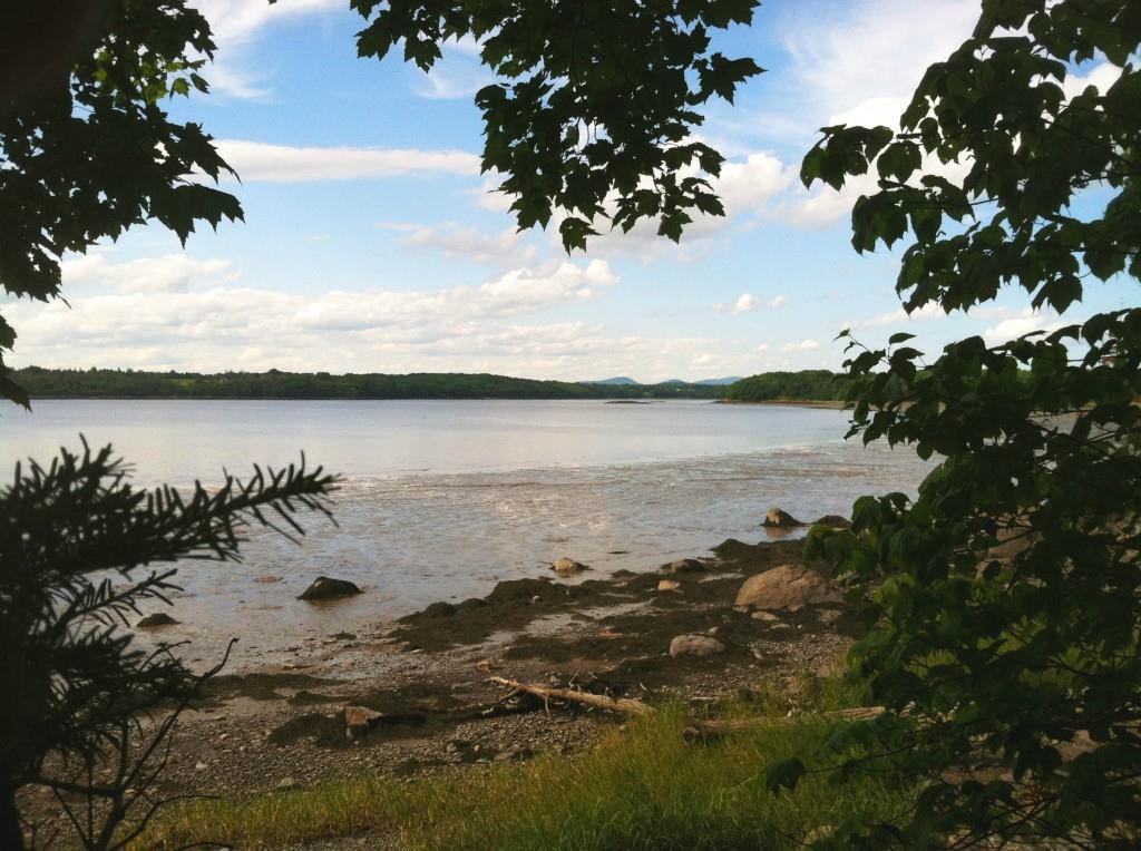 53 Glad Farm Rd Road St. George, ME 04860 - Photo 24 of 25 Photo
