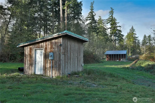 a view of a garden with plants and large trees