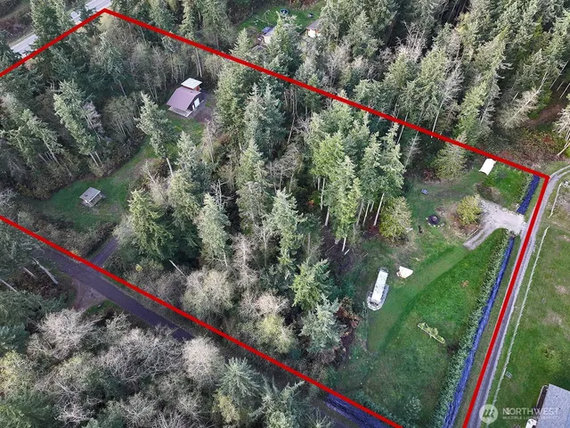a view of a backyard with table and chairs potted plants and large trees
