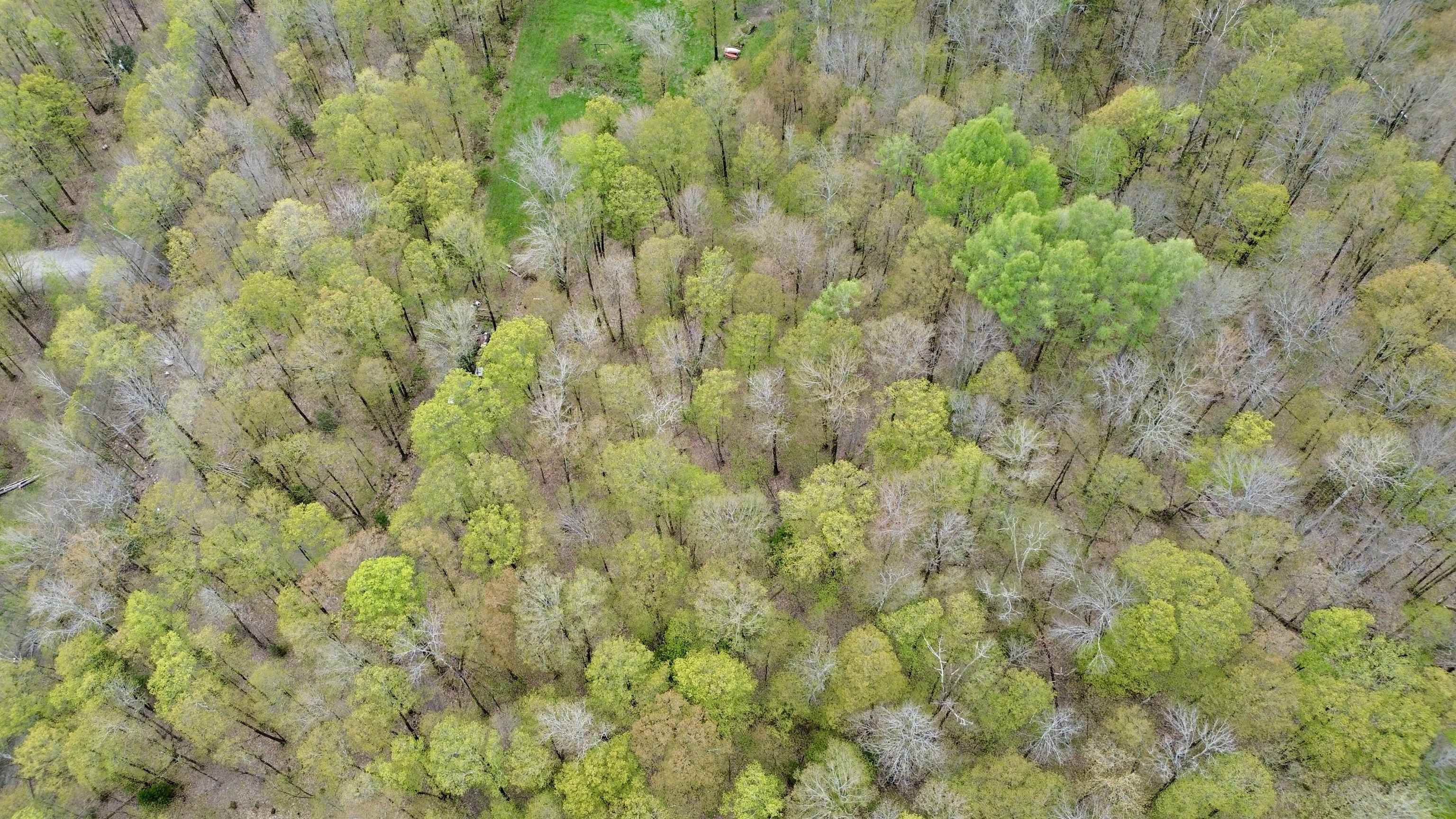 220 Middle Road Chittenden, VT 05763 - Photo 15 of 22