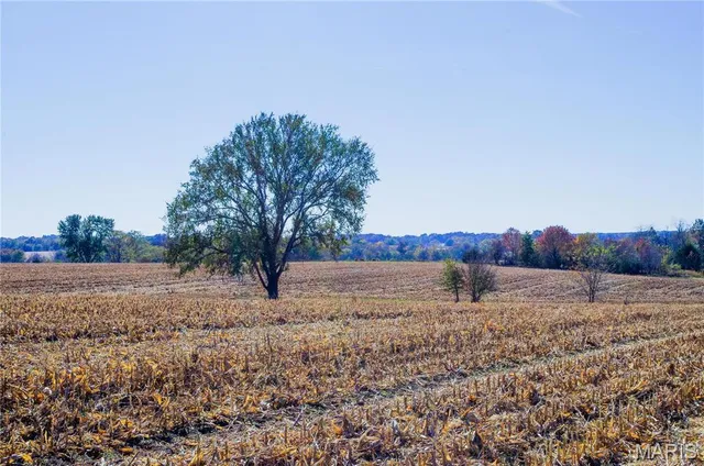 $310,000 | 171 Windy Hill Road, Elsberry, MO 63343