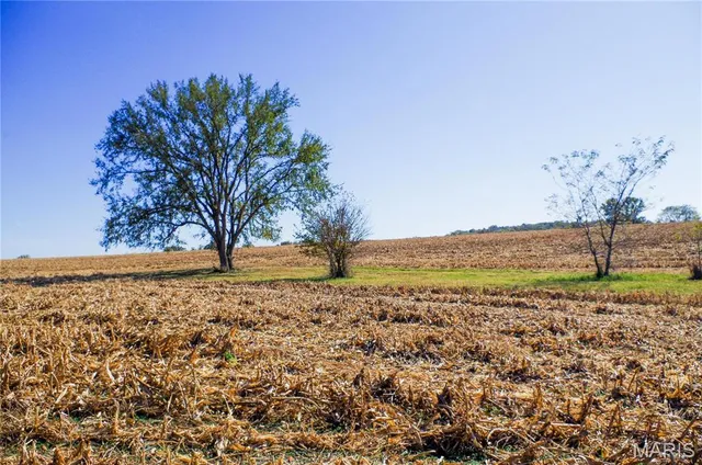 $310,000 | 171 Windy Hill Road, Elsberry, MO 63343