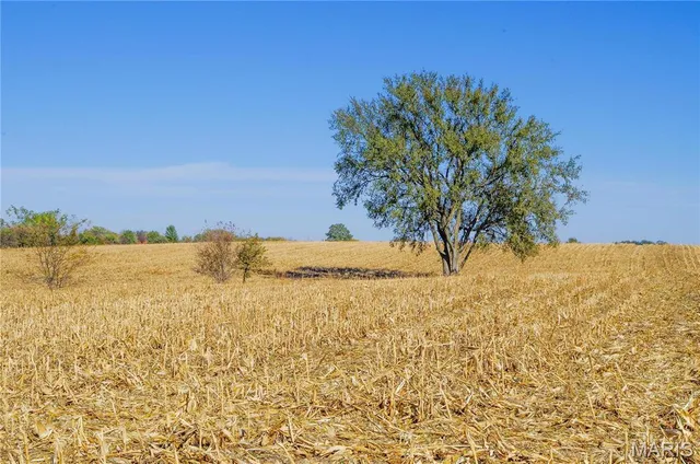 $310,000 | 171 Windy Hill Road, Elsberry, MO 63343