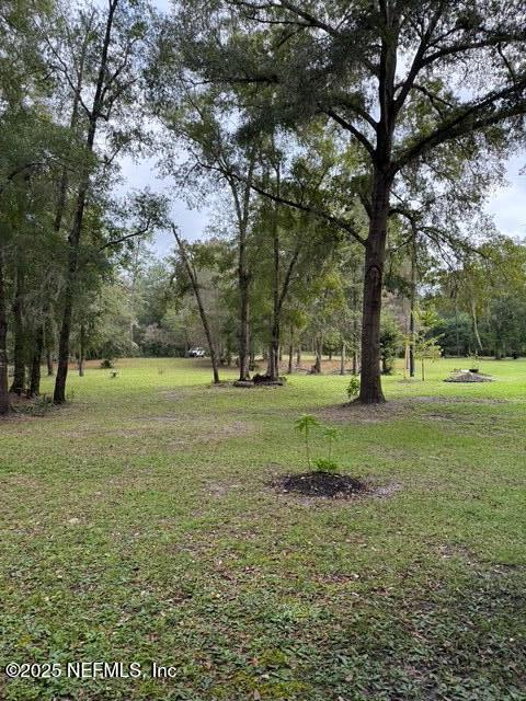 a view of park with trees