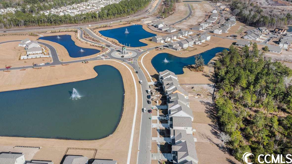 10150 Hamilton Branch Loop Myrtle Beach, SC 29579 - Photo 38 of 40