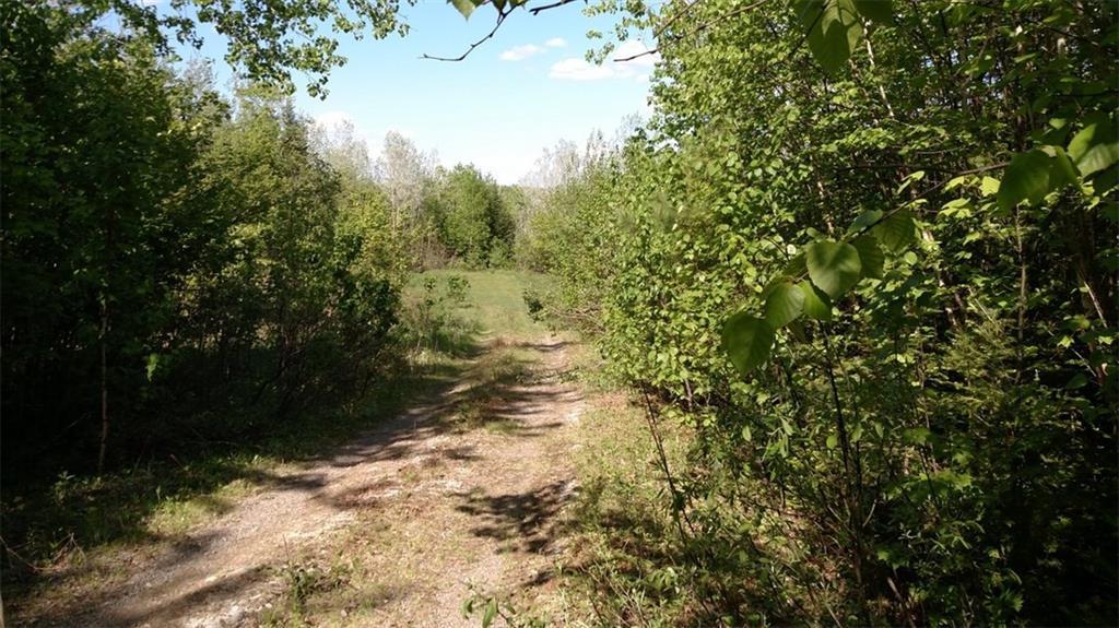 Lot 1 Ridge Road Robbinston, ME 04671 - Photo 2 of 6 Photo