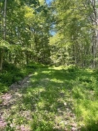 13 Perry Street Douglas, MA 01516 - Photo 6 of 6 a view of a big yard